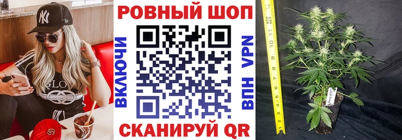 Купить Сурск Канабис Псилоцибиновые грибы ГАШИШ АМФЕТАМИН