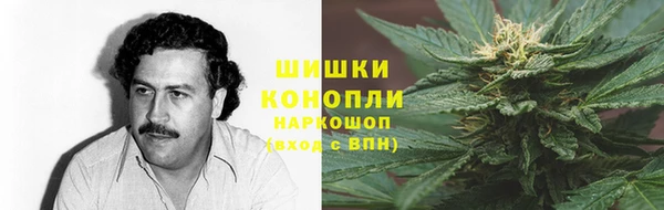 спиды Алзамай