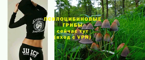 2c-b Абдулино